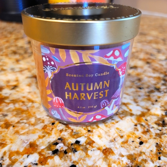 Opalhouse Accents Nwt Opalhouse Autumn Harvest Candle Poshmark
